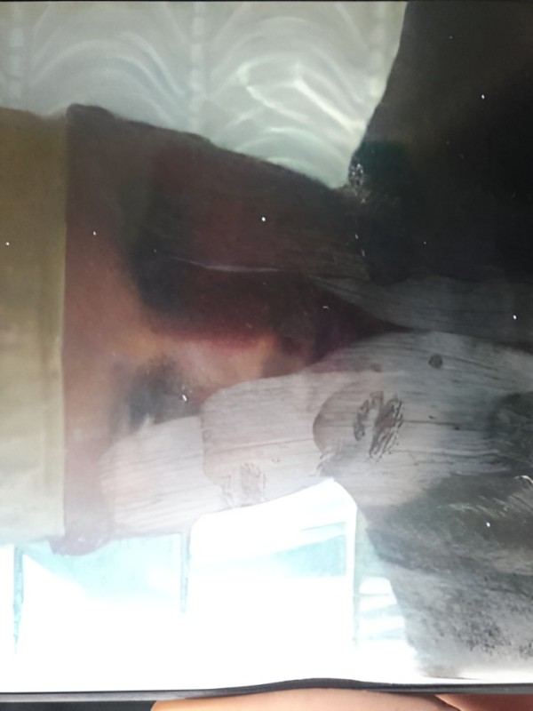 Тамара привлекательная девушка из Макарова цена от 4000 руб